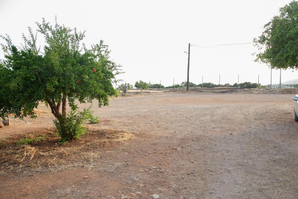 Εξοχη Και Θαλασσα Daire Makrýgialos Dış mekan fotoğraf